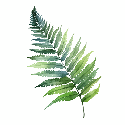 watercolor vector illustration boho boston fern leaf sticker white background