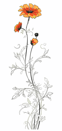 2d colorful single wildflower black outline white background, vector illustration