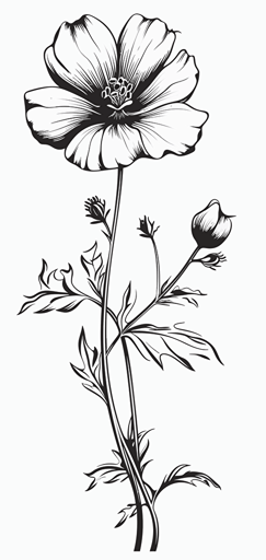 2d single wildflower black outline transparent background vector
