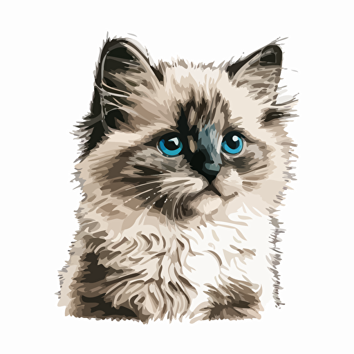 cute ragdoll kitten head vector,comic style, white background