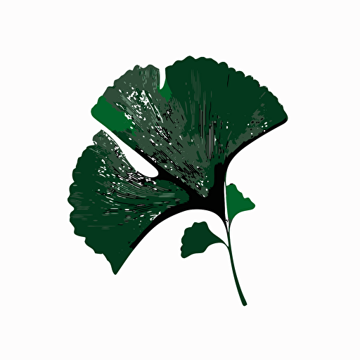 very minimalist dark green ginkgo leaf, mono-color, vector logo to be used as s logo for Instagram account, no surface structure, white background, no text