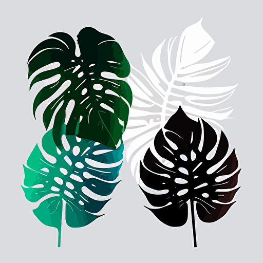 simple minimal vector monstera leaves on a white background 2 colors ar