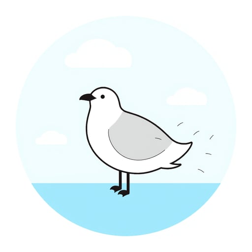 a seagull