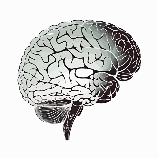 human brain vector outline