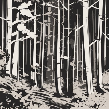 a forest