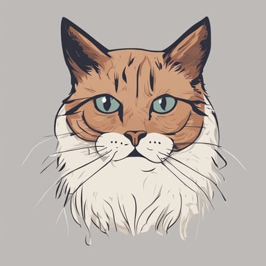 a cat