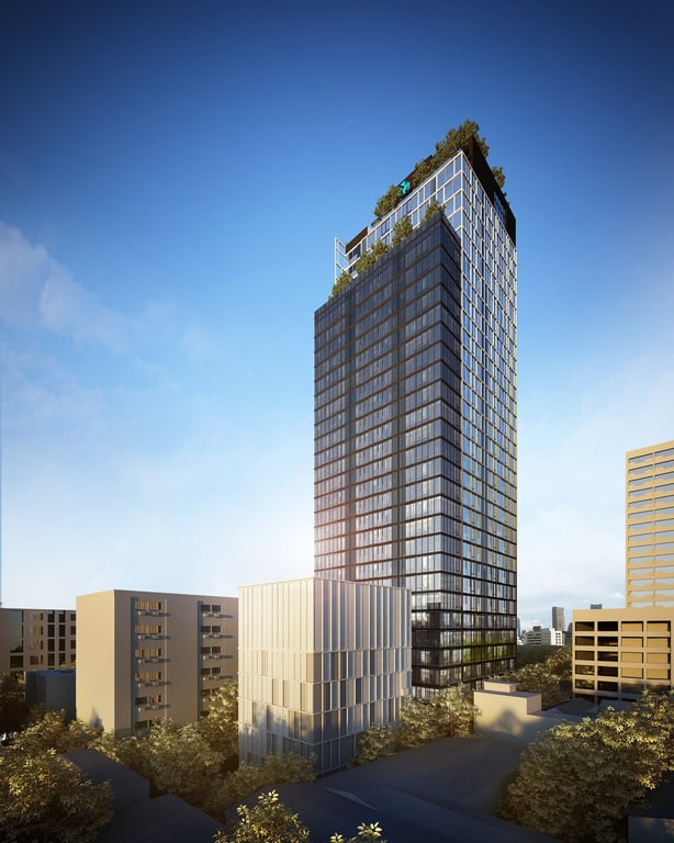 Siamese Exclusive Queens