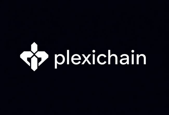 Plexichain Logo Design