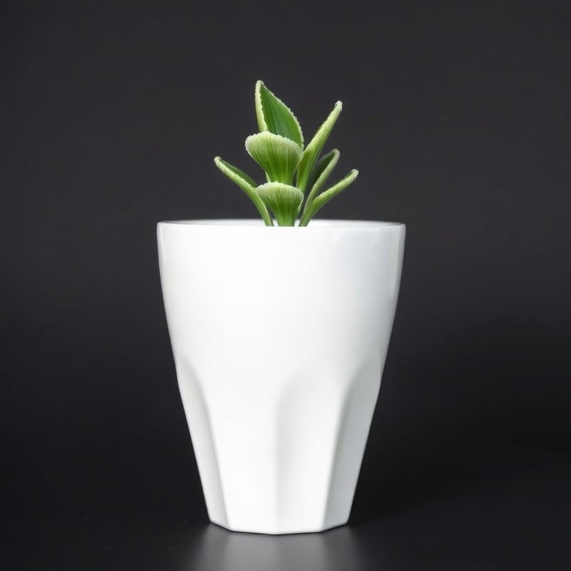 Planta Verde em Vaso Branco