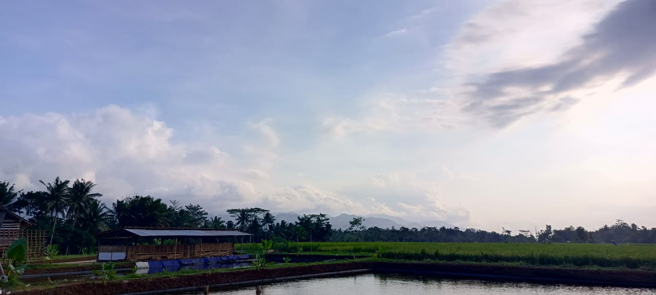 Fasilitas pembenihan modern D&B Farm dengan kolam ikan nila dan kandang bebek