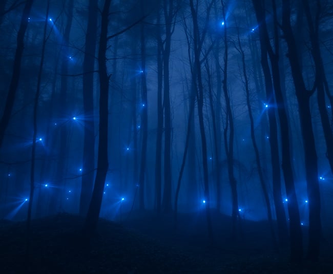 Ethereal Blue Forest Mystique