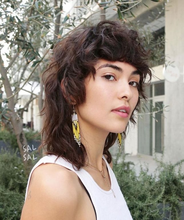 the image shows, Shag Mullet Haircut For Women