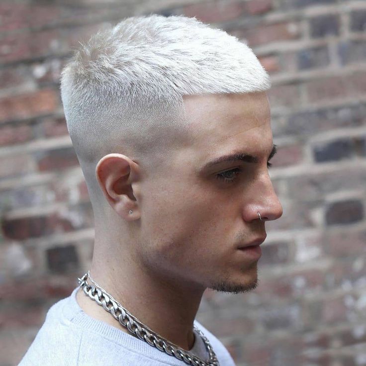 the image shows, low fade haircut short hair