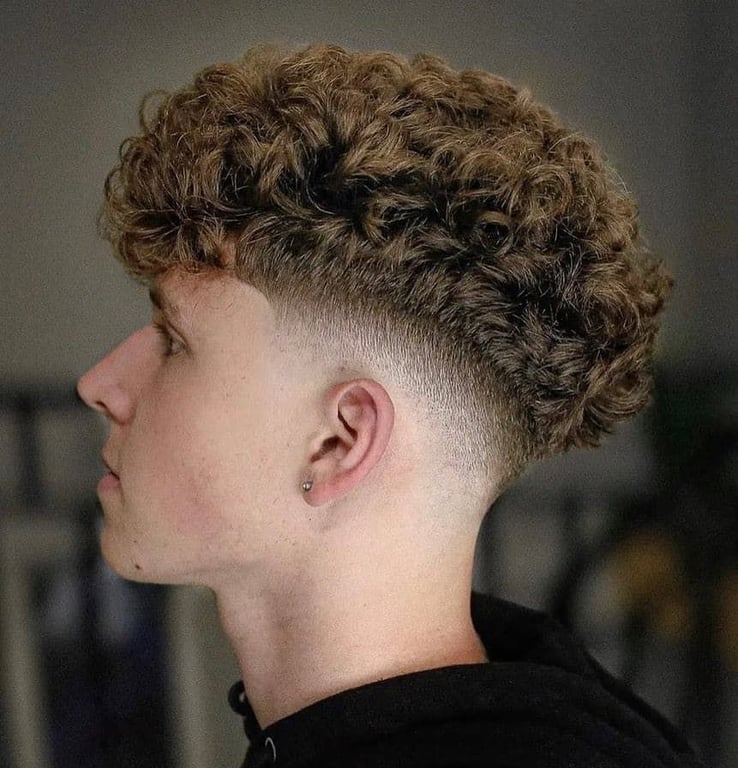 the image shows, Curly Edgar Haircut