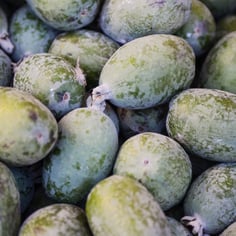 Feijoa 3