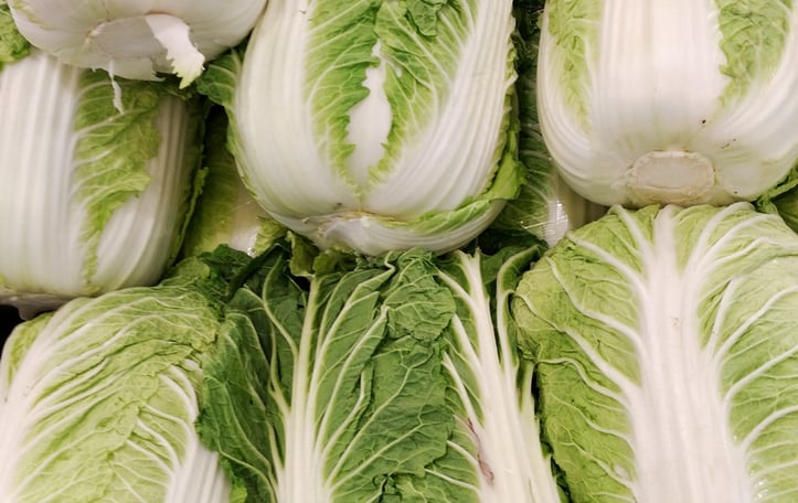 Celery Cabbage