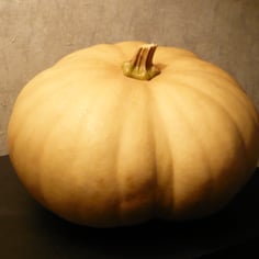 Butternut Squash 4