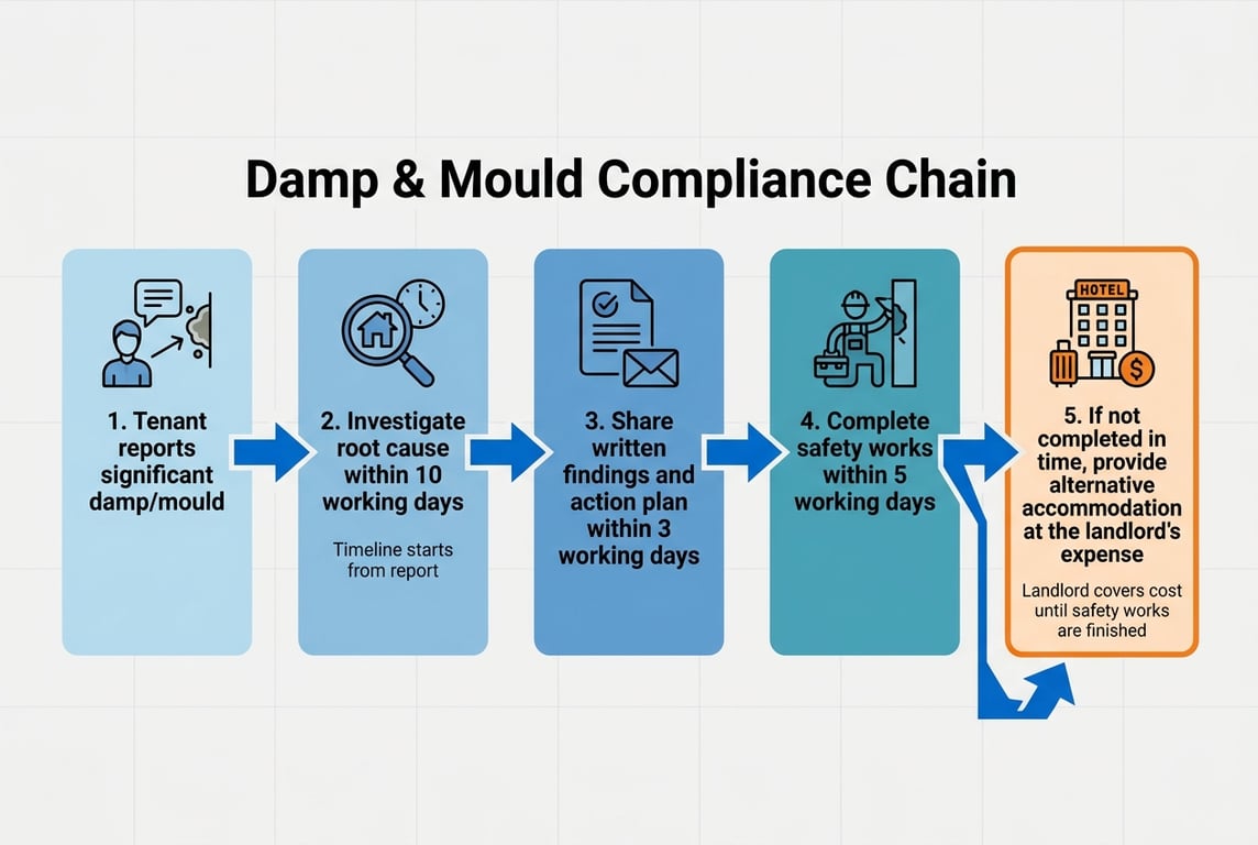 The Awaab's Law damp and mould compliance chain