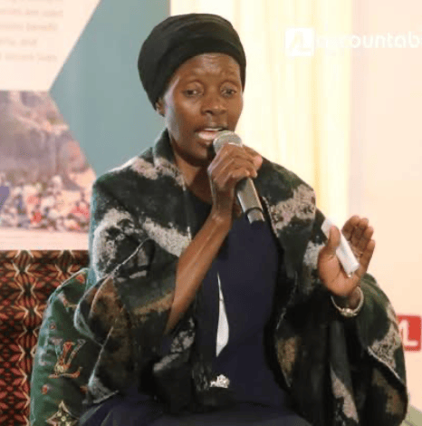 Celesile Ndlovu, a Pumula resident, shares the challenges caused by urban mining in Pumula and Bulawayo while proposing solutions during the Harare screening of the documentary.