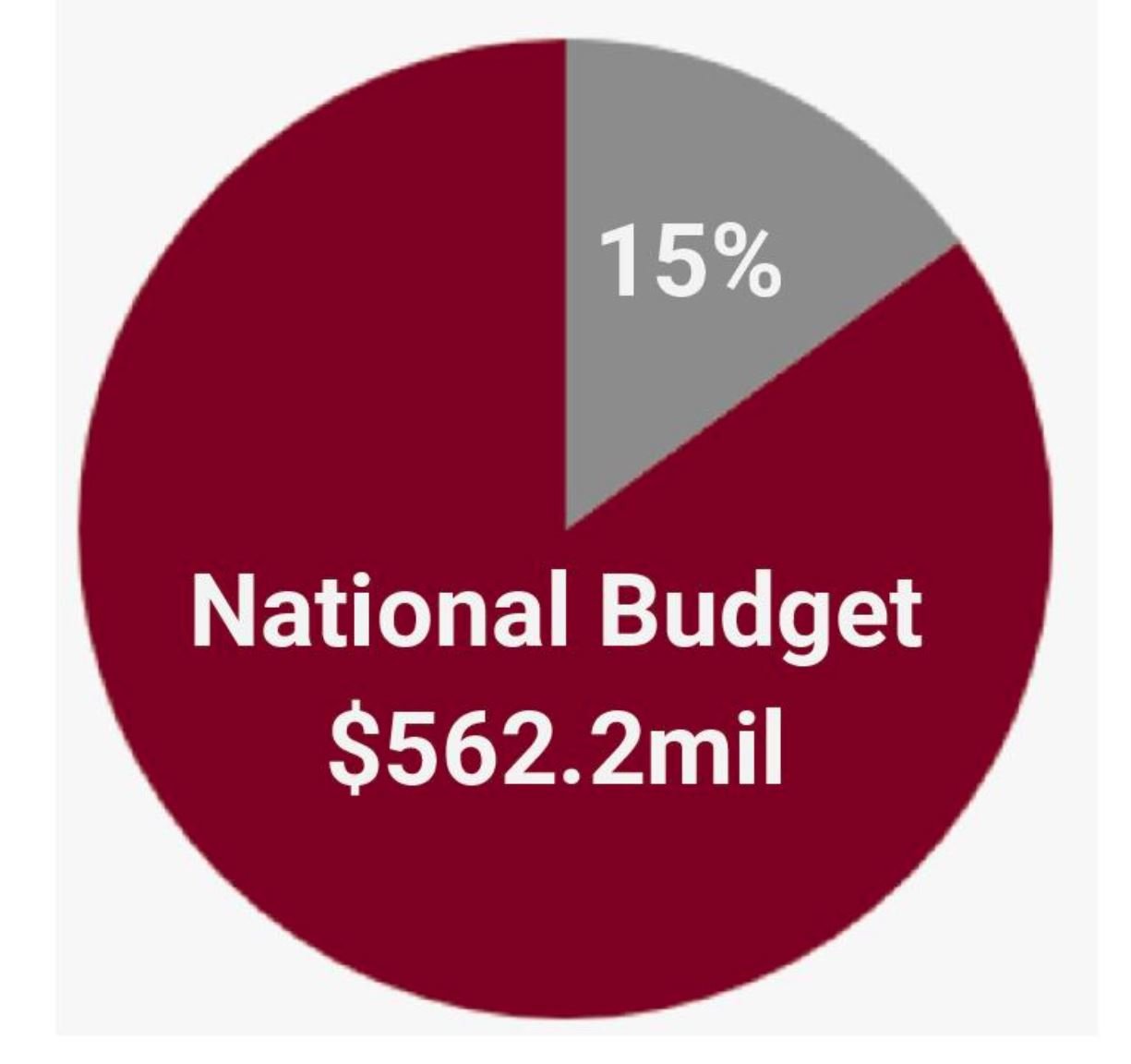 pie-chart-snip