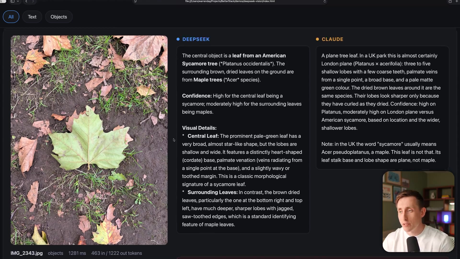 The two models' differing analyses of the leaf, showcasing Claude's superior contextual reasoning.