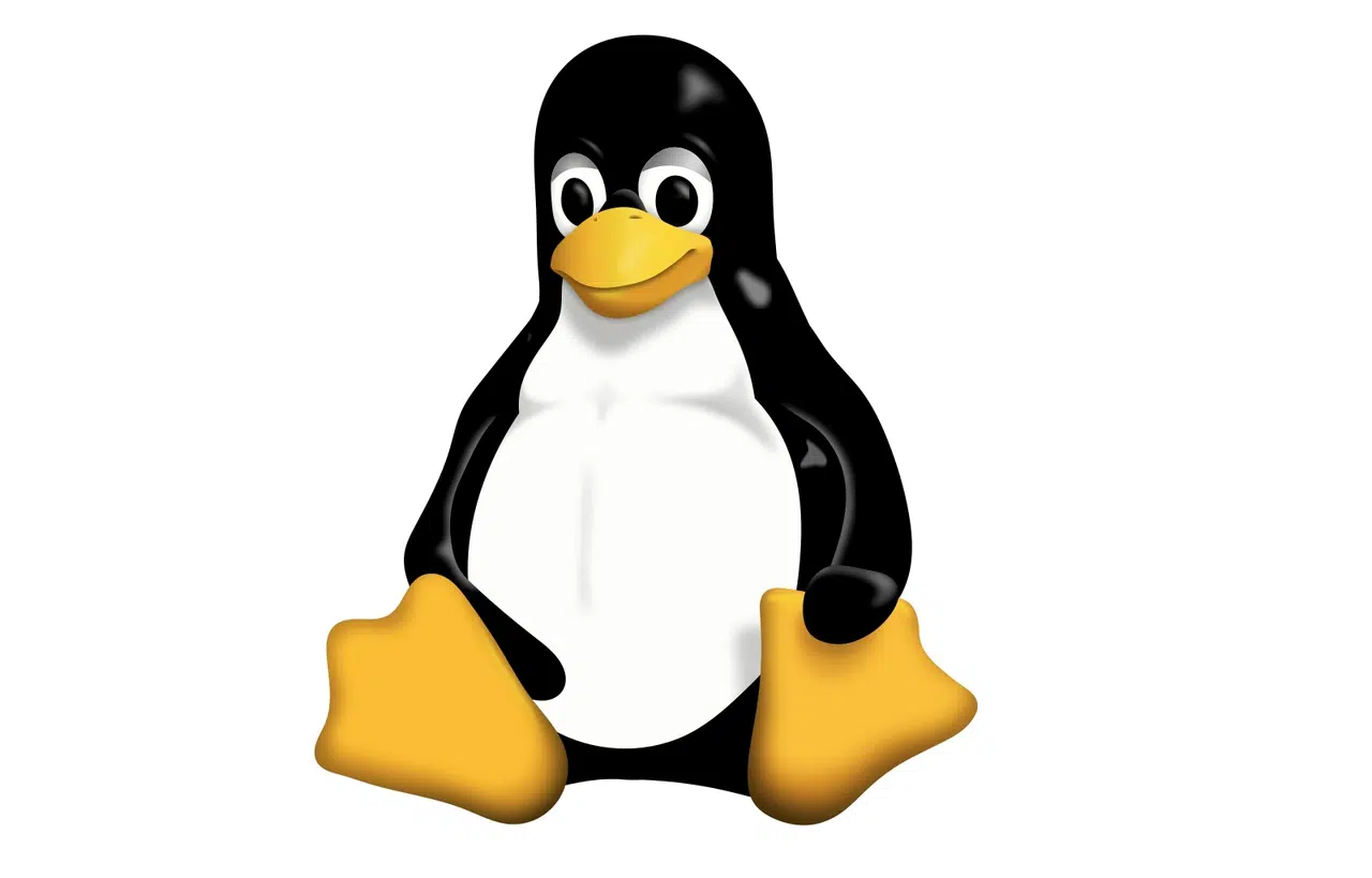 Linux Logo