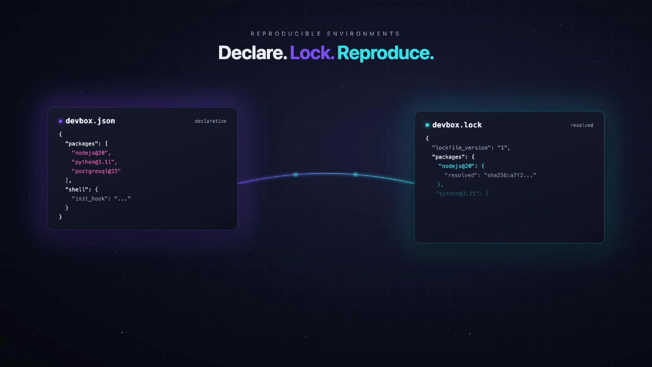 Diagram showing the relationship between devbox.json (the declarative file) and devbox.lock (the resolved file) which together create identical builds everywhere