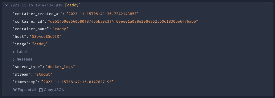 Log entry JSON structure