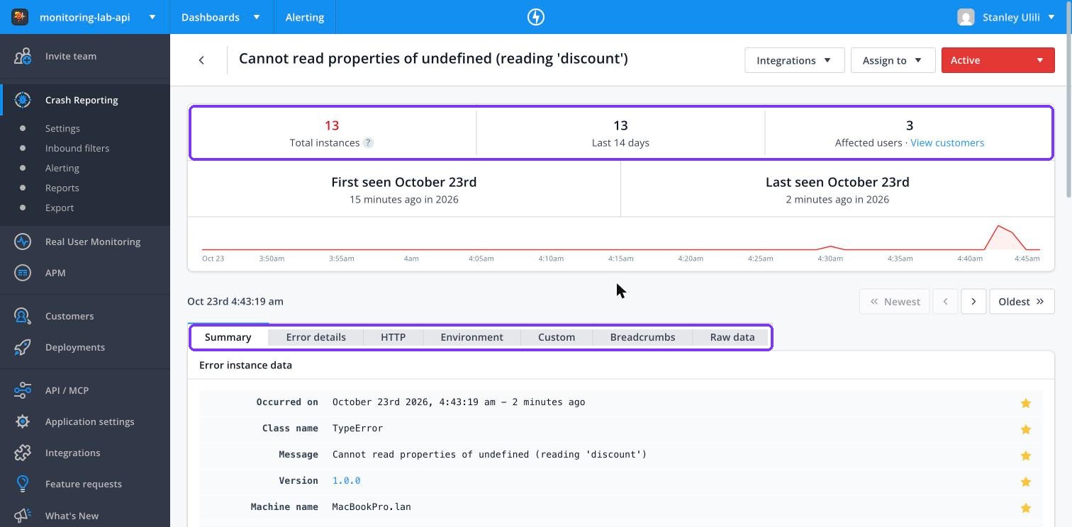 Raygun API error page with instances and affected users