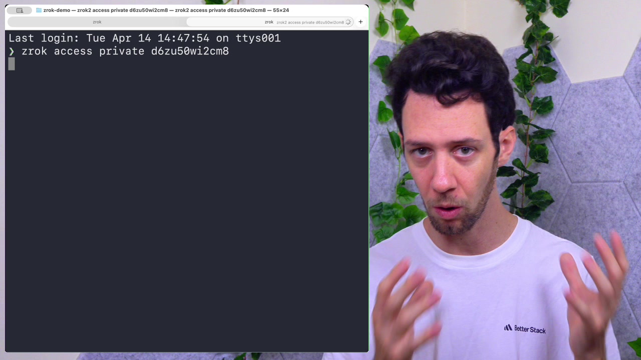 Recipient's terminal showing the zrok access private command with the unique share token