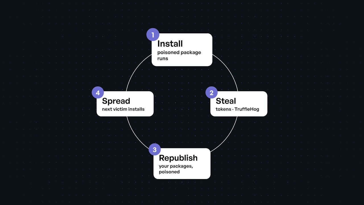 A diagram illustrating the four-stage replication cycle of the Shai-Hulud worm: Install, Steal, Republish, and Spread.