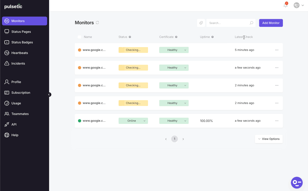 Screenshot of Pulsetic monitors