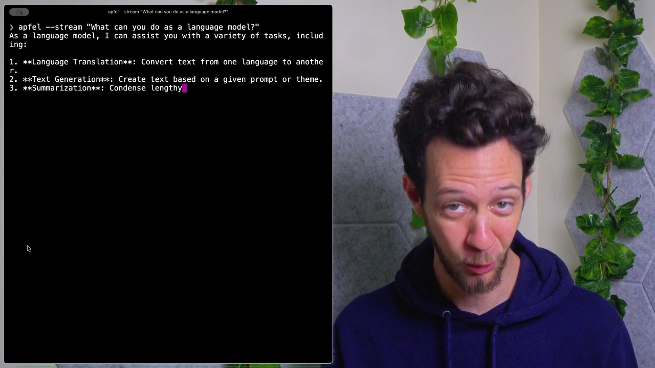 The terminal displaying the complete, streamed-back response from the "What can you do?" command.