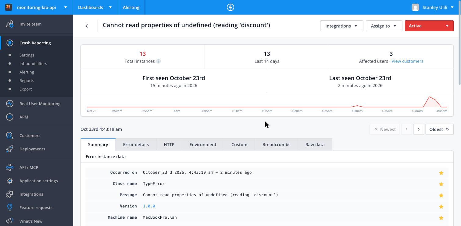 Raygun API error page header