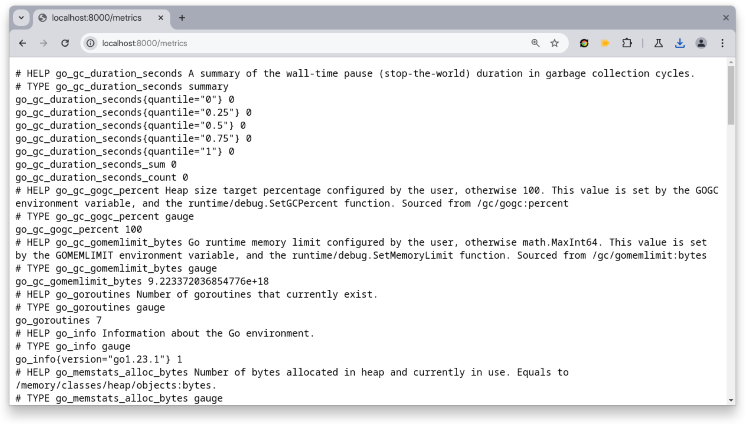 Screenshot of default Go Prometheus metrics