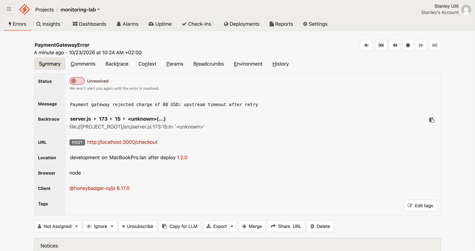 Honeybadger PaymentGatewayError as one group across amounts