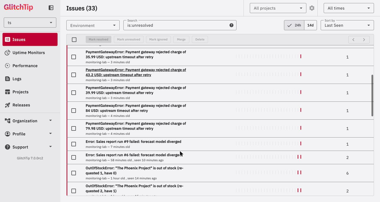 GlitchTip payment error split into one issue per amount