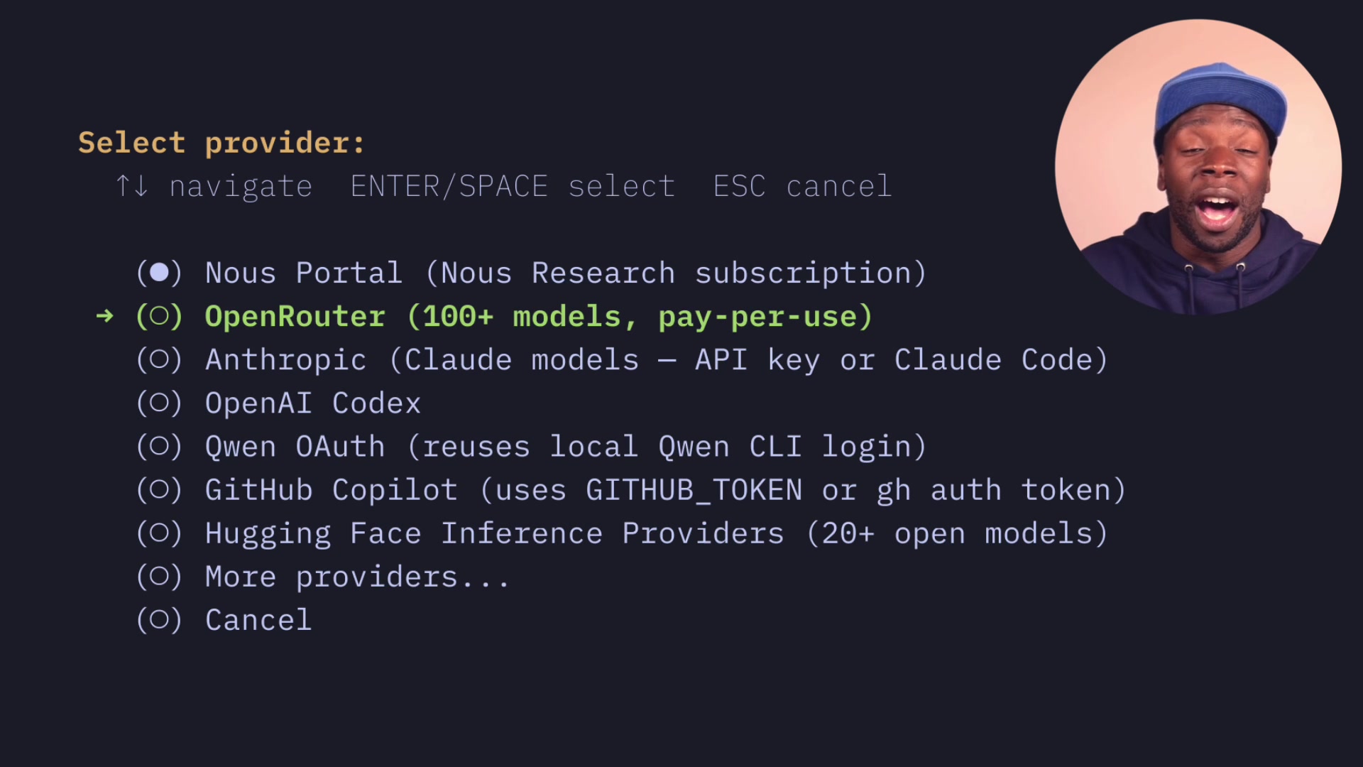 Provider selection screen in the Hermes setup wizard showing options including Nous Portal, OpenAI, Anthropic, and OpenRouter