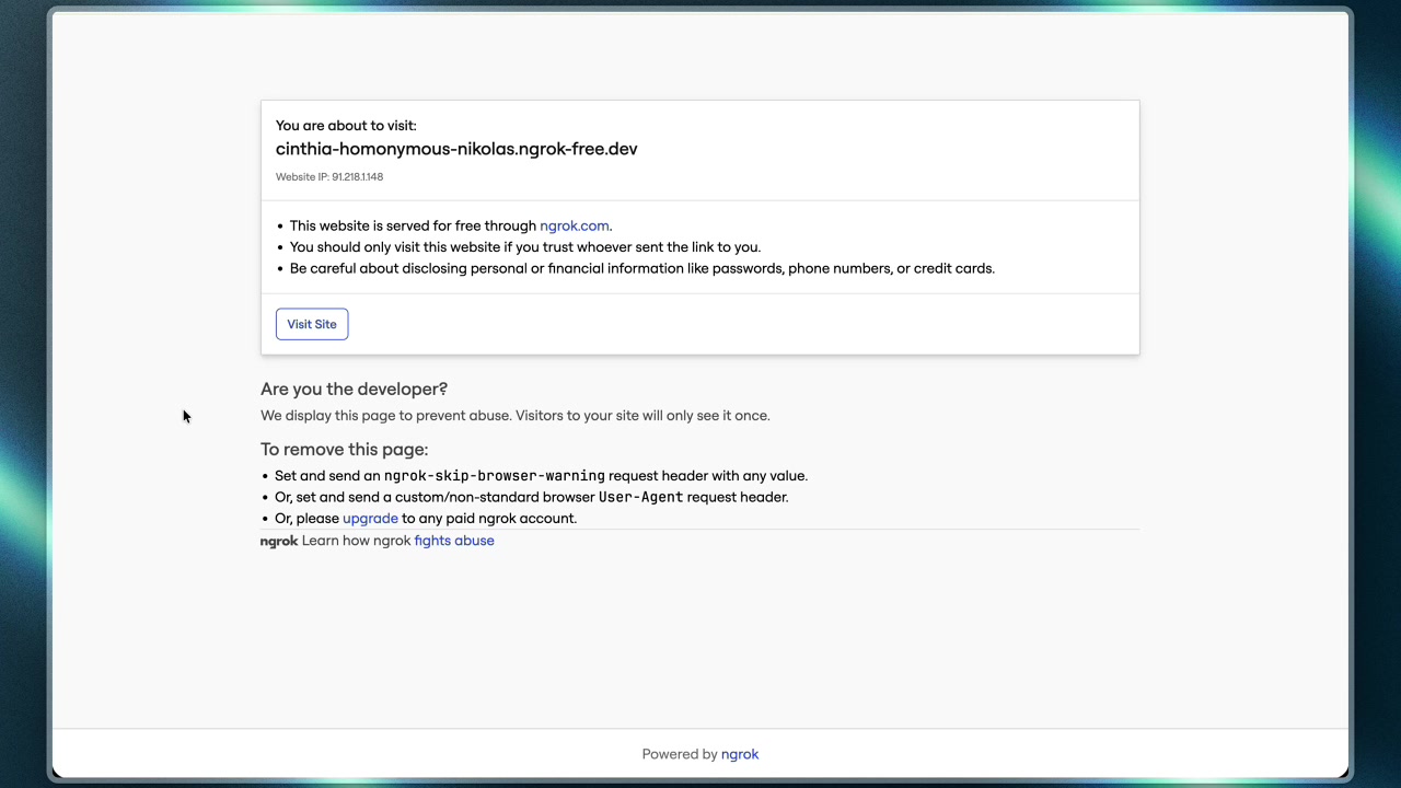 The ngrok warning page that users see before accessing a tunneled site