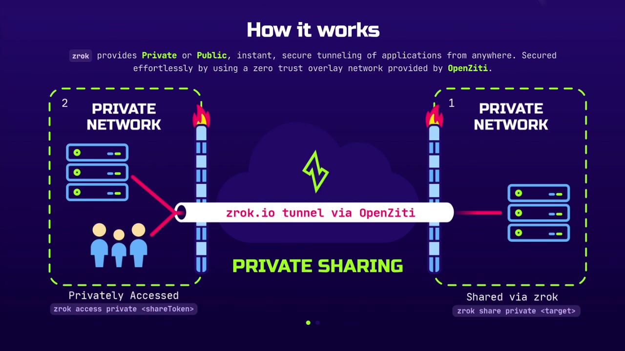 Diagram illustrating the private sharing workflow with a secure tunnel through the OpenZiti cloud between two private networks