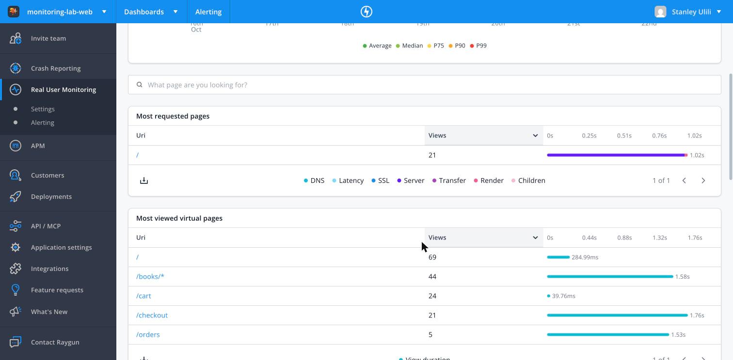 Raygun most viewed virtual pages and requests