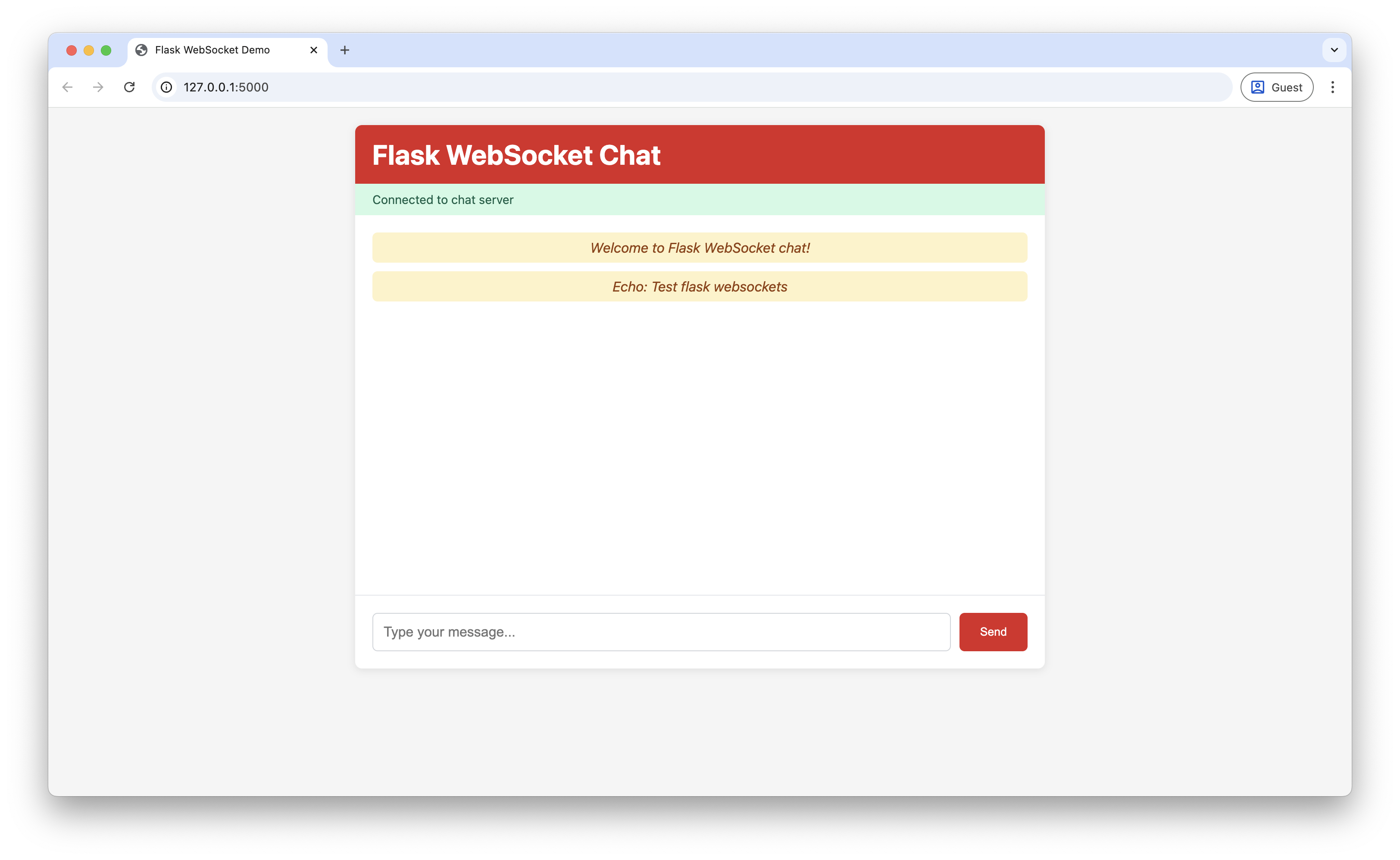 Screenshot showing the messaged with an "Echo:" prefix