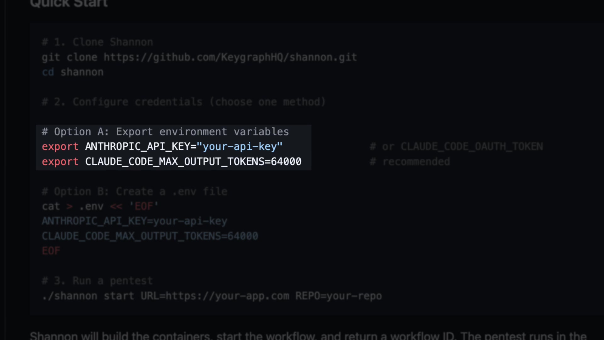A code snippet demonstrating how to export the necessary environment variables for Shannon.