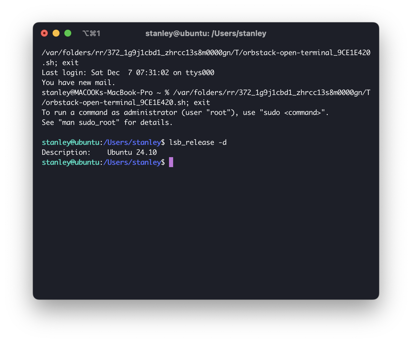 Screenshot of a terminal session opened inside a Linux machine