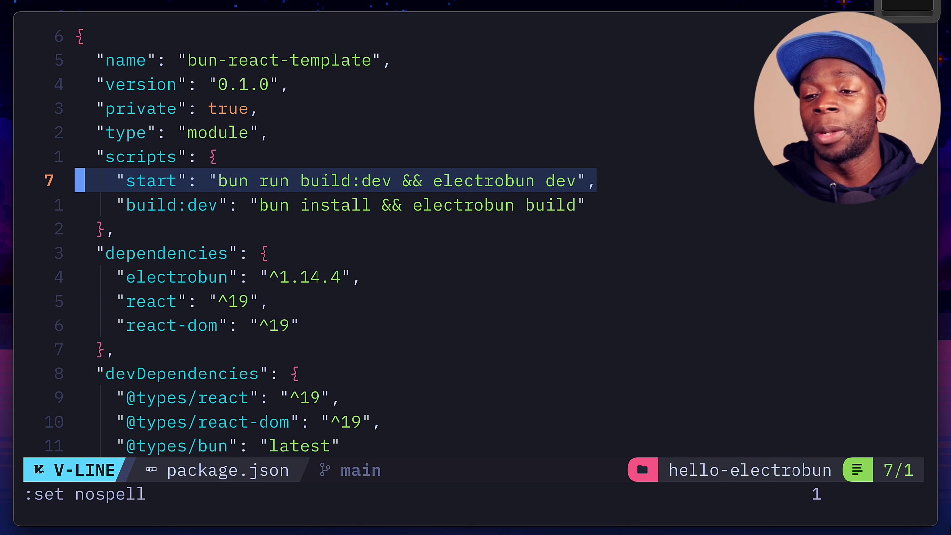 Close-up of the scripts section in package.json showing the dev and build:dev commands
