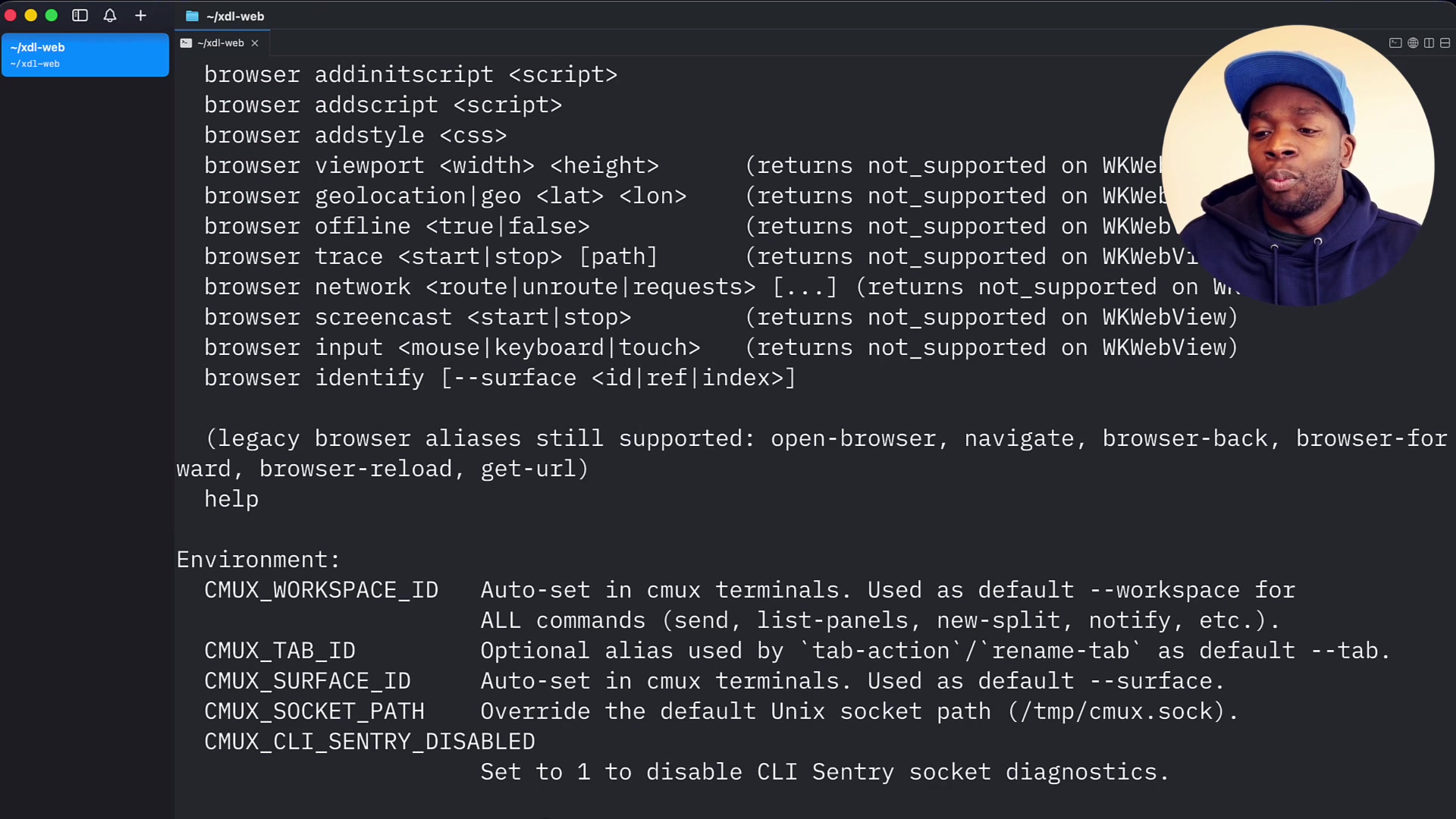A screenshot showing a portion of the extensive `cmux --help` output, detailing various commands and.jpg