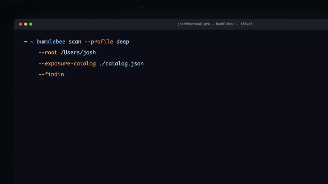 CLI showing flags and options for the deep scan profile in Bumblebee