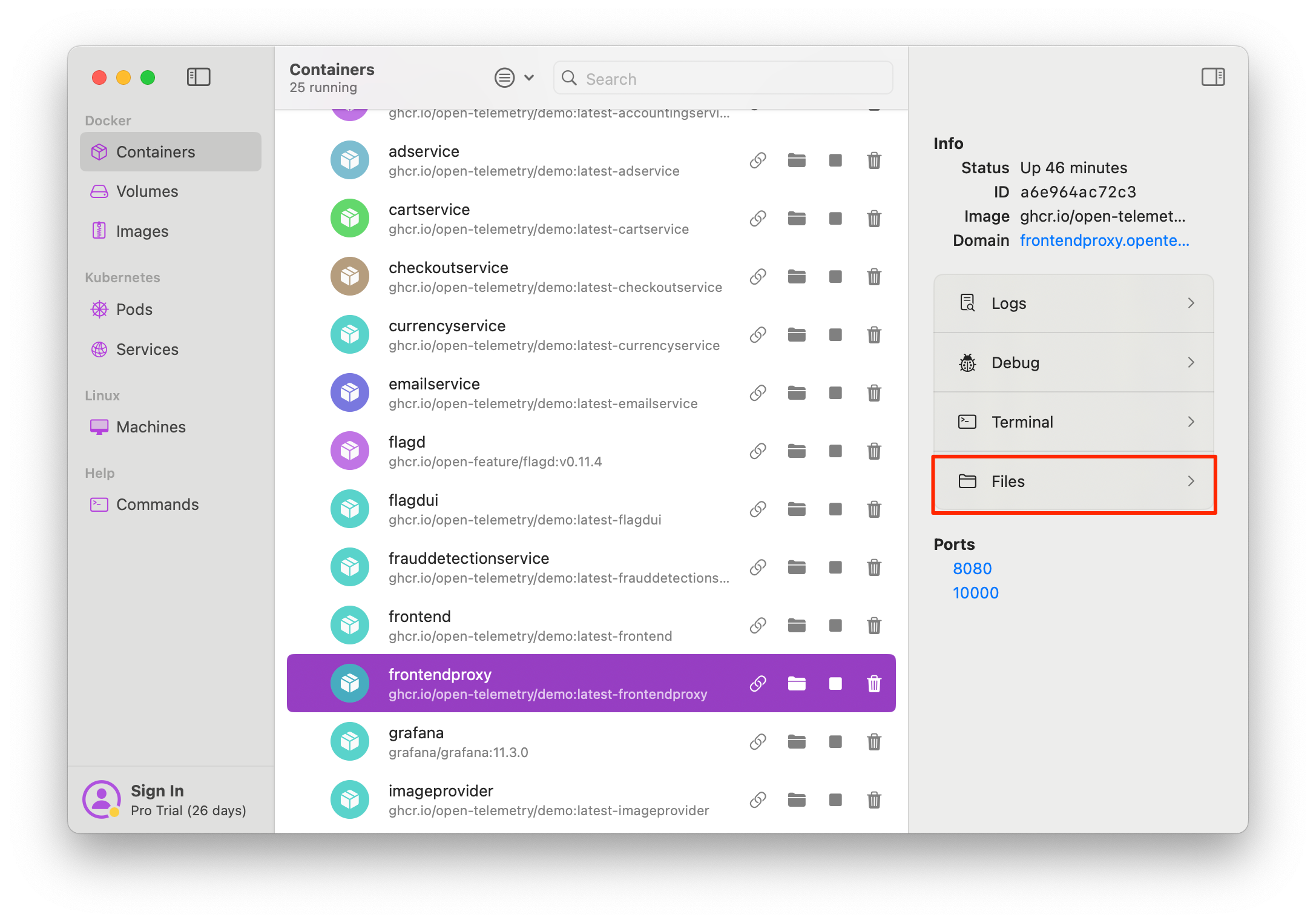 Screenshot of the **Files** button in the sidebar
