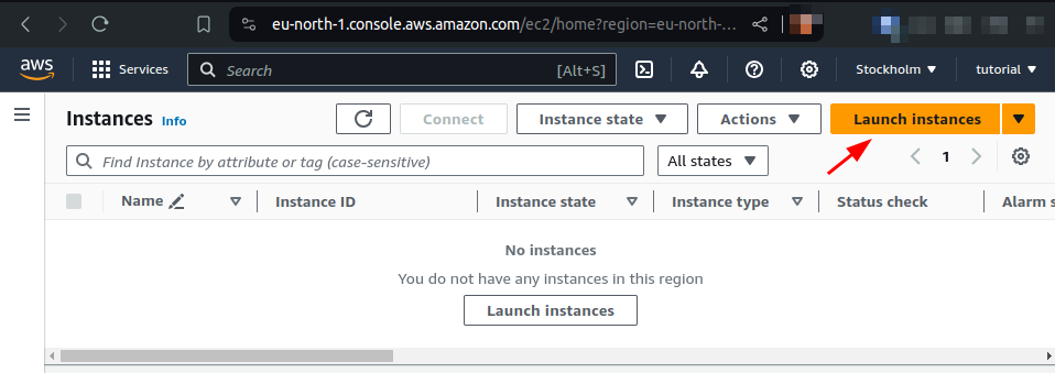 launch instances