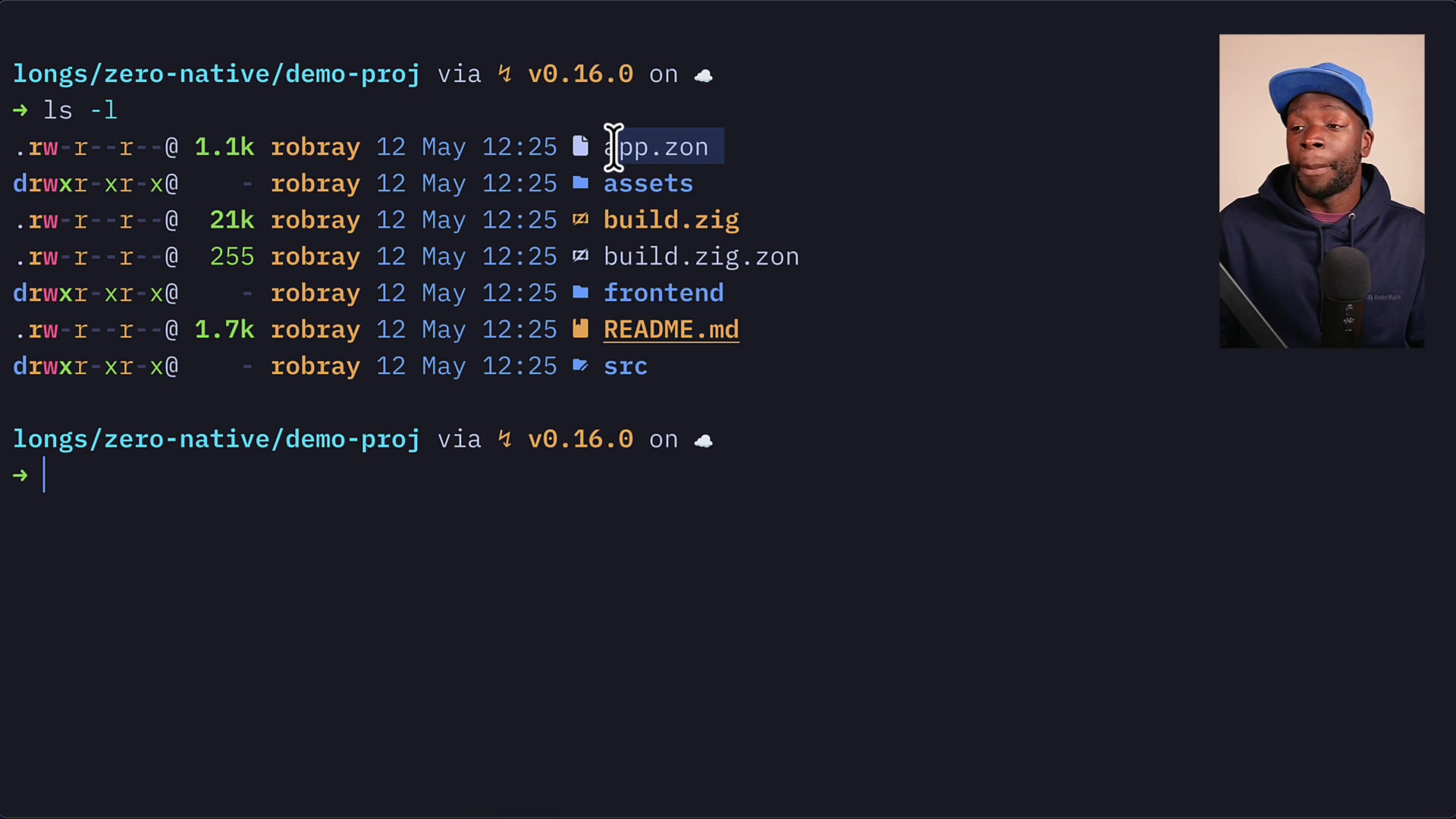 Terminal output listing the files generated by init: app.zon, assets, build.zig, frontend, src